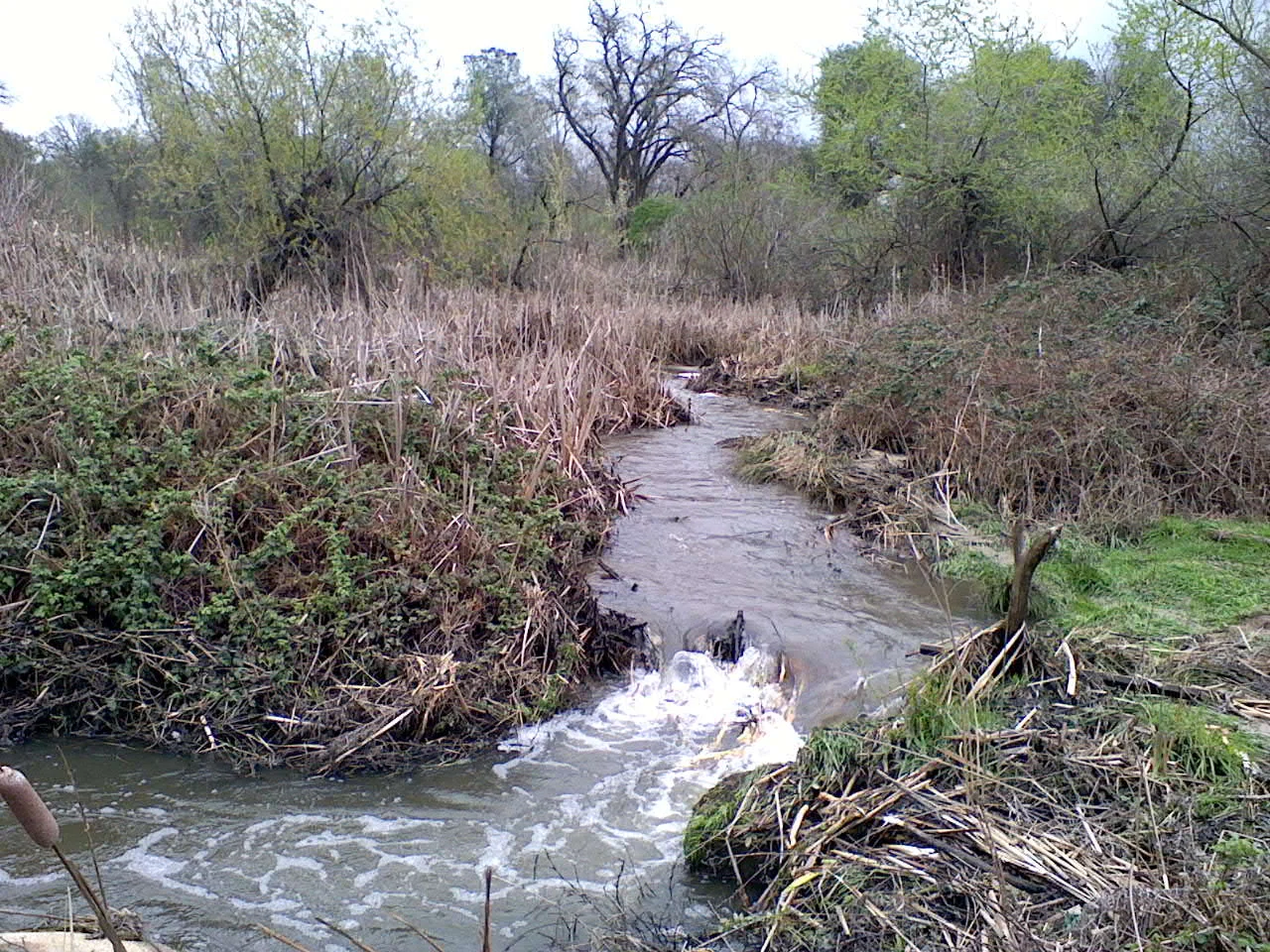 MonteVerde creek 3/25/2011