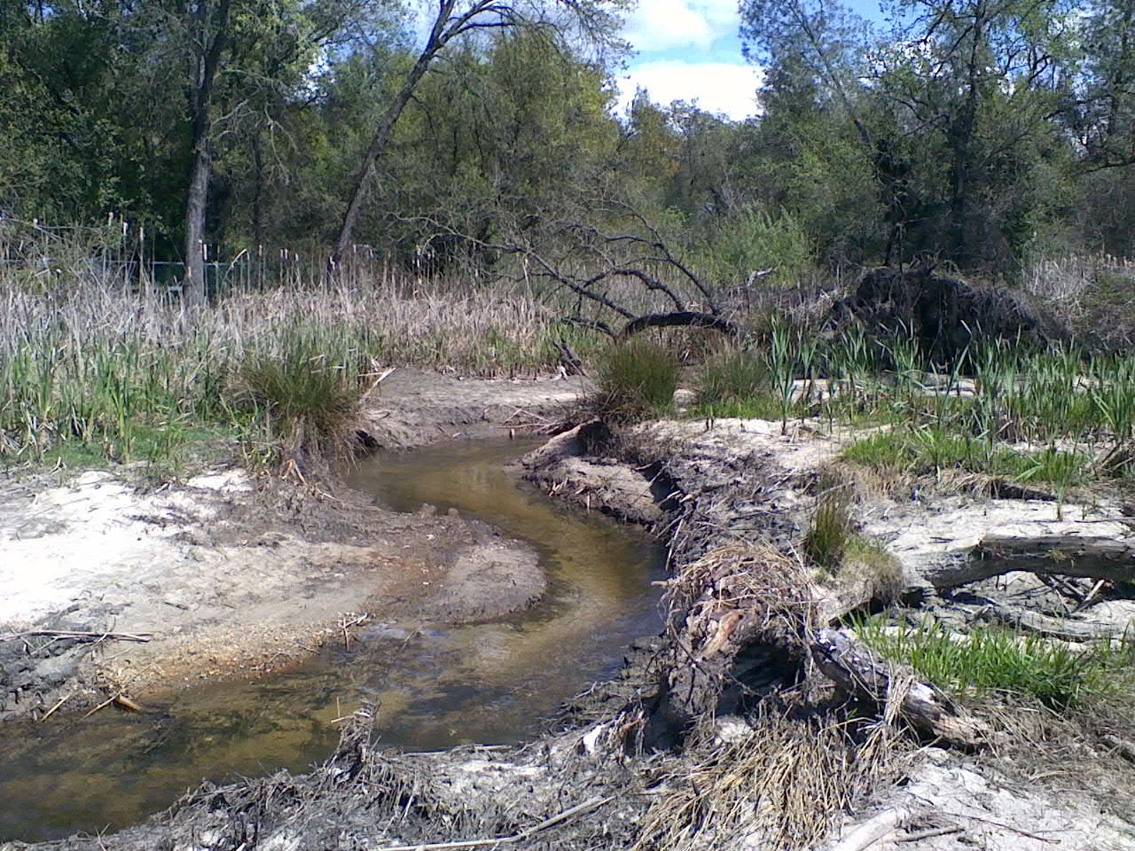 MonteVerde creek 4/7/2011