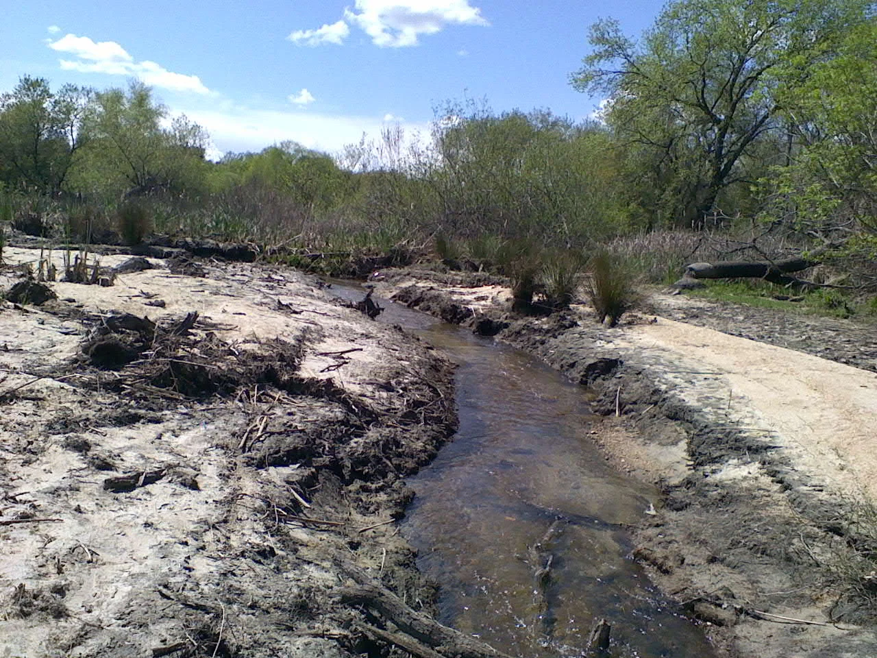 MonteVerde creek 4/7/2011