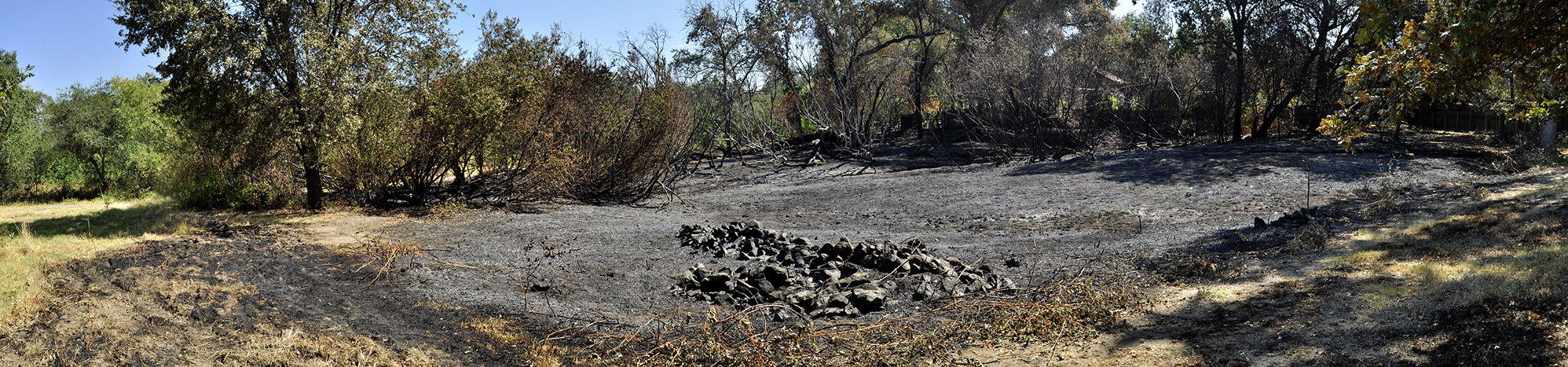 2012 Fire Monte Verde Wetlands