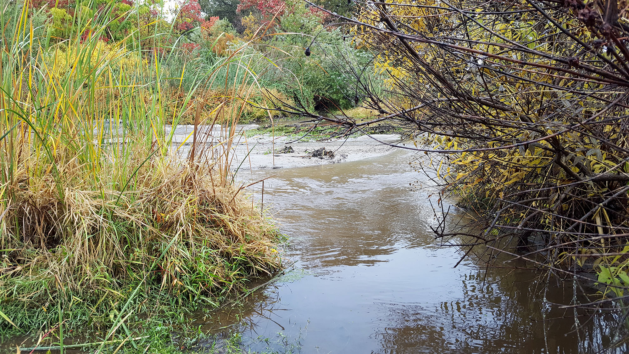 Heavy October Rainfall Alters Monte Verde Creek Pathway - Rocklin Wetlands