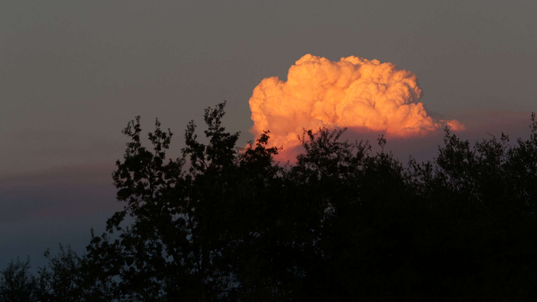 Pyrocumulus Cloud Mosquito Fire Pyrocumulus Cloud Mosquito Fire